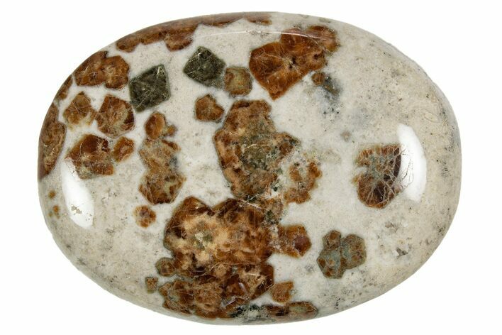 Polished Garnet In Wollastonite Palm Stone - Namibia #343952